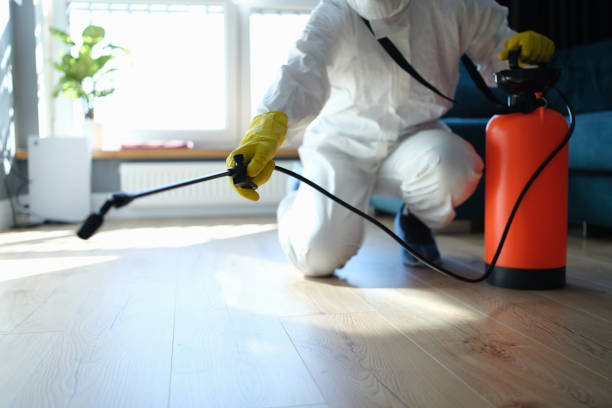 Reliable Sewage Cleanup contractor in Greenacres, CA by Trauma Clean Pros